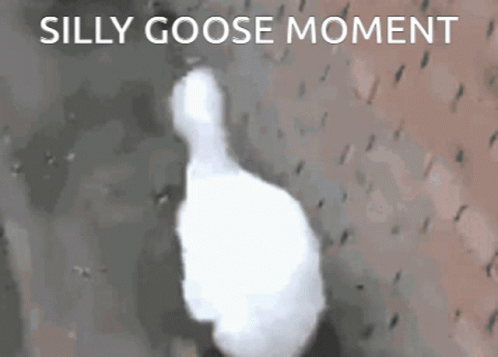 Silly Goose Head Dance GIF