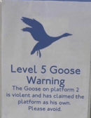 Silly Goose Warning GIF