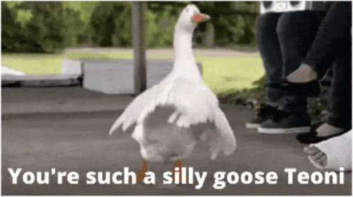 Silly Goose Weird Dance GIF
