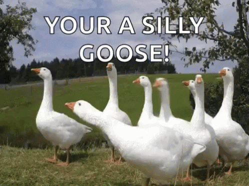 Silly Goose Yapping GIF