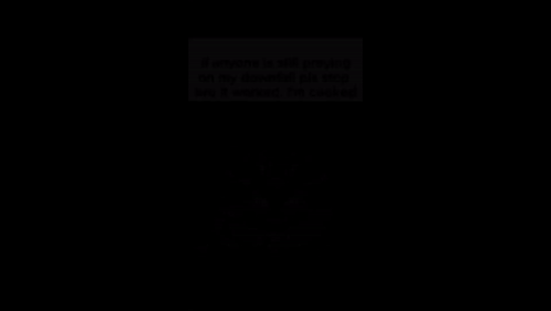 Silly Silly Cat GIF
