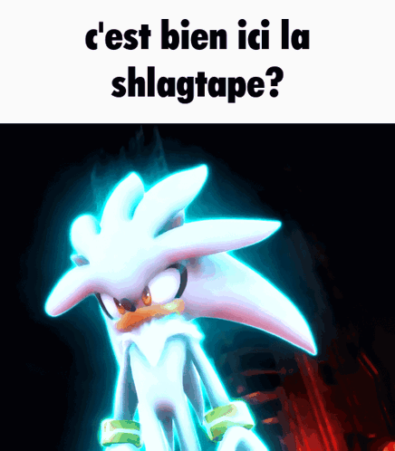 Silver The Hedgehog C'est Bien Ici La Shlagtape ? GIF