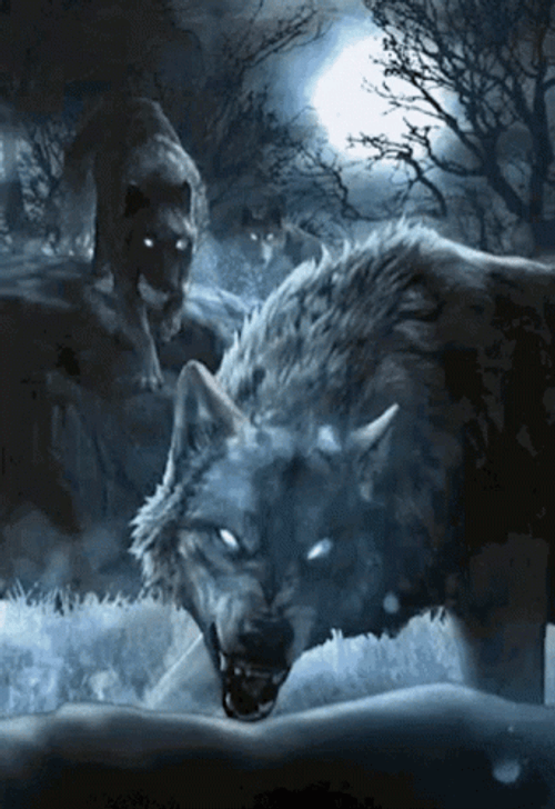 Silver Werewolf Full Moon Shining GIF