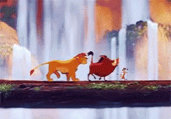 Simba Enjoying The Night With Timon And Pumbaba GIF
