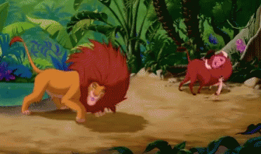 Simba Energetic Playtime With Timon And Pumbaba GIF