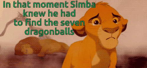 Simba 498 X 231 Gif GIF