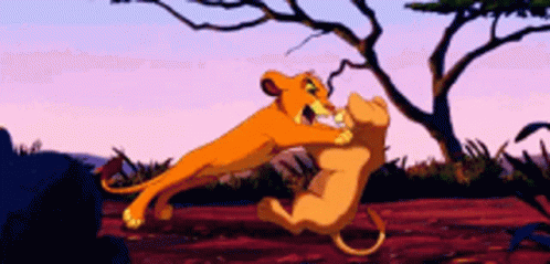 Simba And Nala's Savannah Playtime GIF