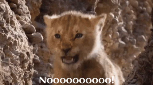Simba The Lion Cub's Dramatic Reaction GIF