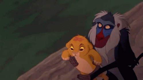 Simba 498 X 280 Gif GIF