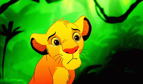 Simba Wide-eyed Wonder GIF