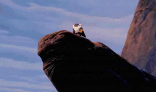 Rafiki Say That Simba Is The King Of The Jungle GIF
