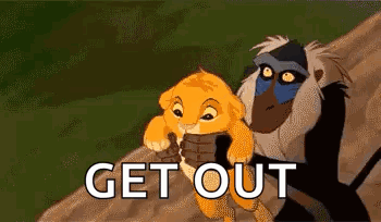 Simba And Rafiki From The Lion King Are Standing Next To Each Other . GIF
