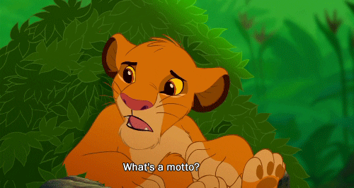 Simba Asking Timon What Is Motto GIF