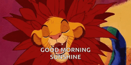 Simba Disney Good Morning Sunshine GIF