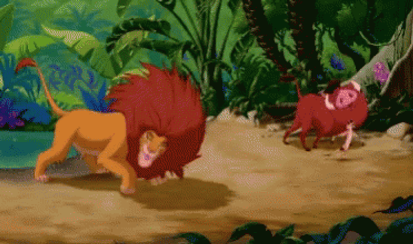 Simba Energetic Playtime With Timon And Pumbaba GIF