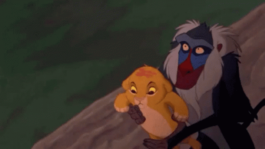 Simba GIF