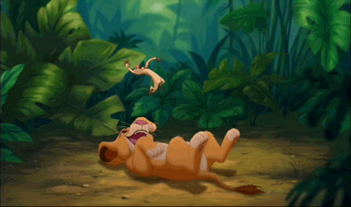 Simba Play Timon Like A Yoyo GIF