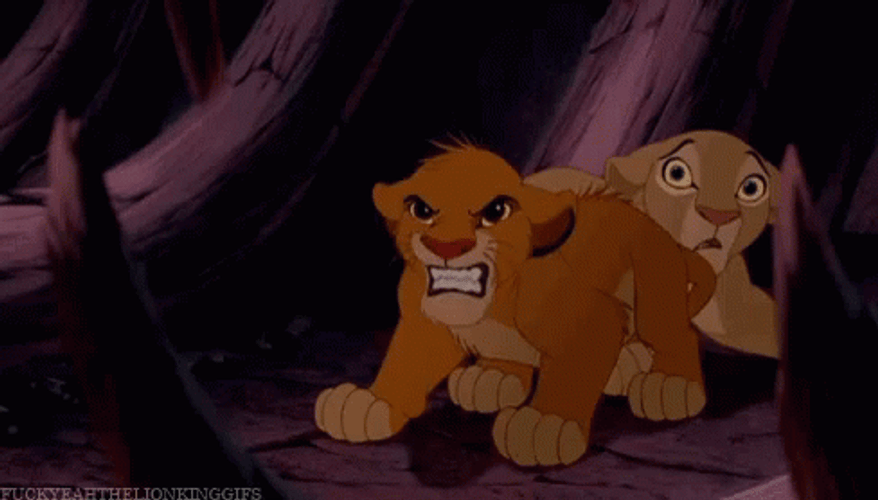 Simba Protects Nala With A Loud Roar GIF