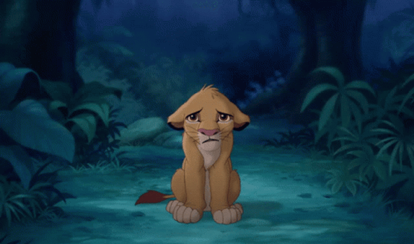 Simba GIF