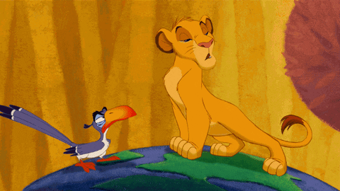 Simba Roared Loudly In Front Of Zazu GIF