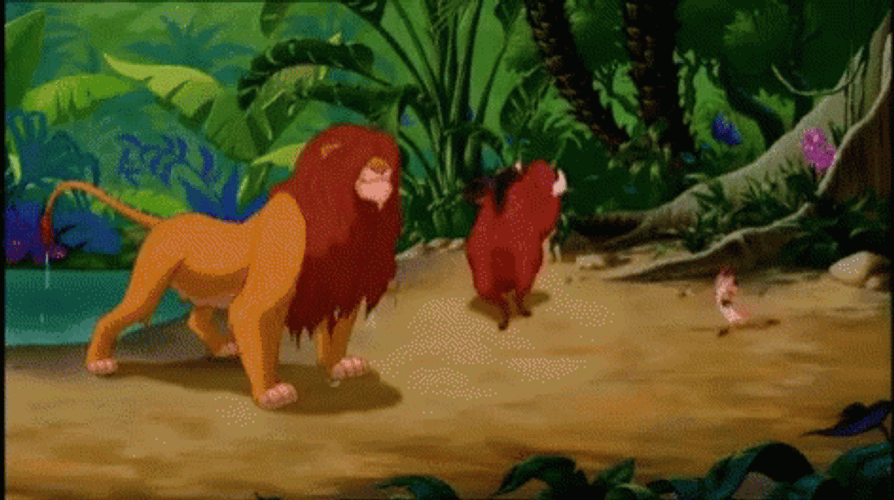 Simba Take A Bath With Timon And Pumbaba GIF