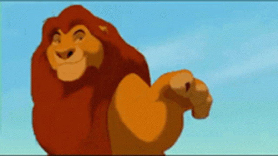 Simba Tell Everyone That Is His Territory GIF