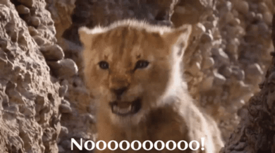 Simba The Lion Cub's Dramatic Reaction GIF