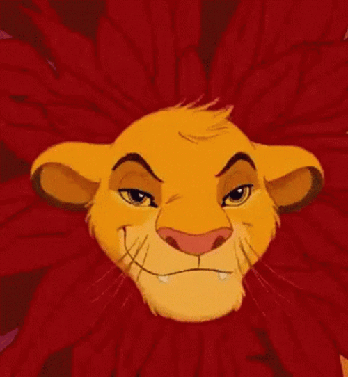 Simba The Lion King Movie GIF
