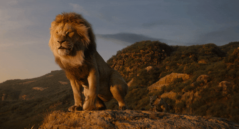 Simba The Lion King Sitting On His Throne GIF