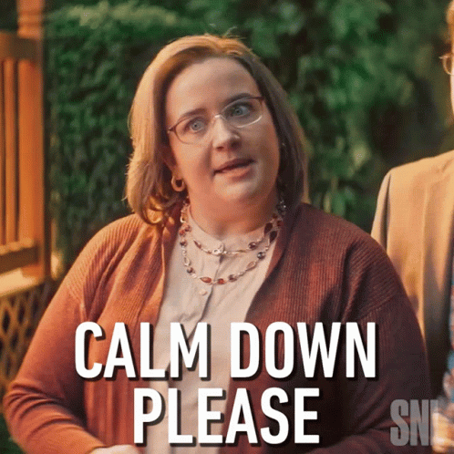 Simmer Down Now Aidy Bryant Calm Down Please GIF