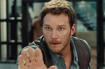 Simmer Down Now Chriss Patt Hand Sign GIF