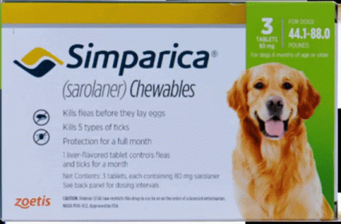 Simparica Box for Dogs with Dog Picture
