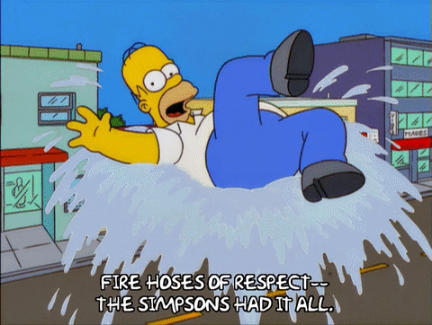 Simpsons Had All Fire Hose Of Respect GIF