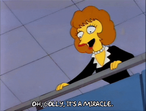 Simpsons Oh Golly It's A Miracle GIF
