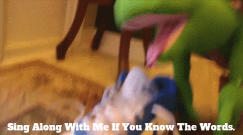 Sing Along With Me If You Know The Words