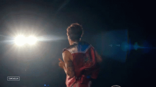 Sing And Dance Concert Spotlight GIF