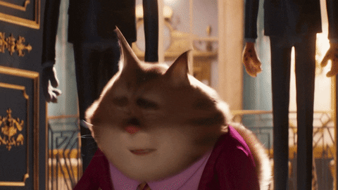 Sing Movie Jerry The Cat Overthinking Panic GIF