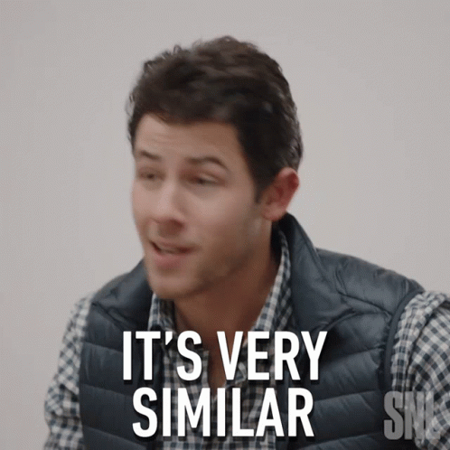 Singer Nick Jonas Same Same But Different GIF