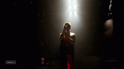 Singing Concert Spotlight GIF