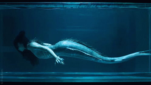 Siren Swimming In Aquarium GIF