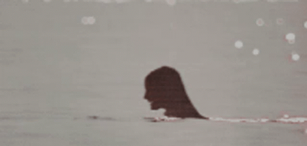 Siren Ocean Swimming GIF