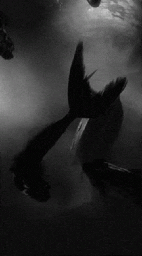 Siren Under The Sea GIF