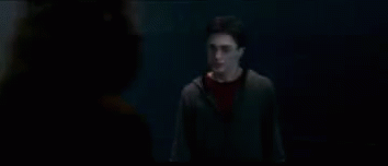 Sirius Black Death Scene GIF
