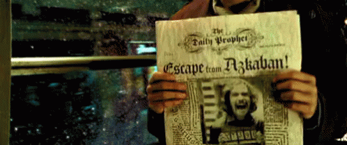 Sirius Black Escape From Azkaban GIF