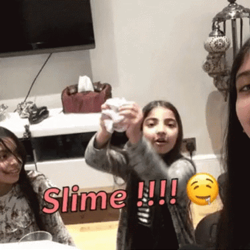 Sisters Enjoying Their Slime GIF