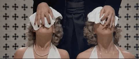 Sisters Twins Face Reveal GIF