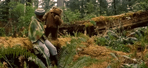 Sit Beside The Ewok GIF