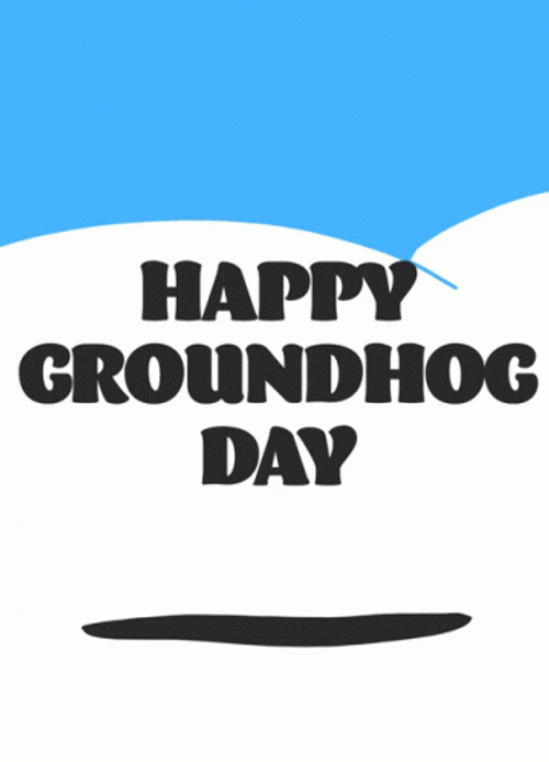Six More Weeks Of Winter Groundhog  GIF