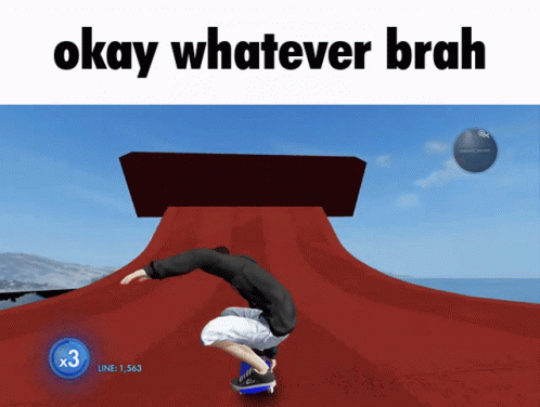Skateboarder Doing Trick Saying Okay Whatever Brah GIF