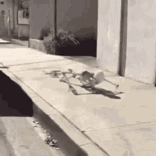 Skeleton Crawling On The Street GIF